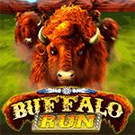 Buffalo Run